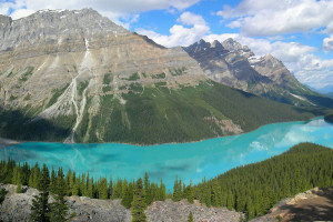 爆冷！黑马横空出世，能否搅乱乒坛格局，上演“神话”