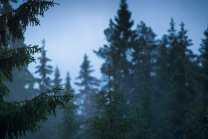 越南电竞选手新动态，转会传闻引猜测，去向成迷！